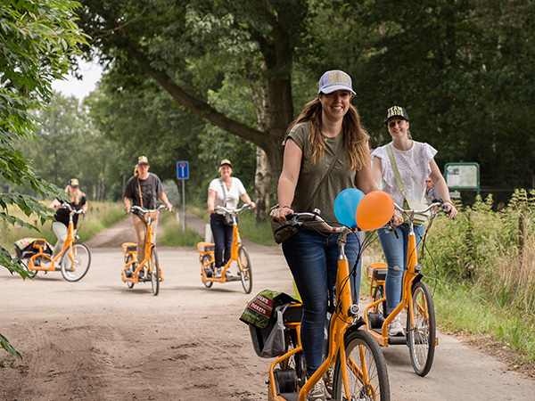 Klimbos Harderwijk is part of Adventurepark Harderwijk